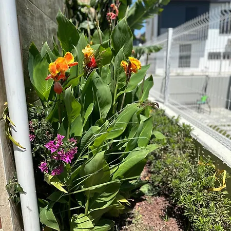 Vilă Argun Private *