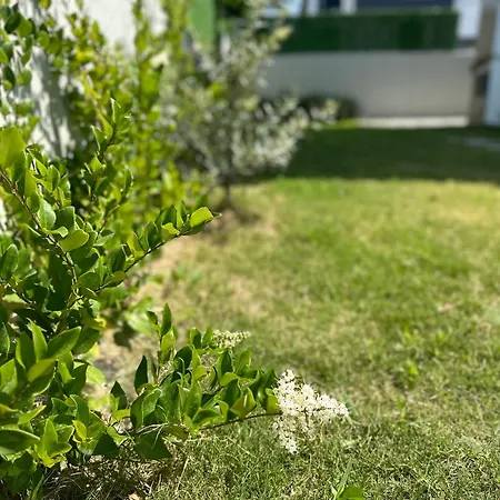 Argun Private Vilă *