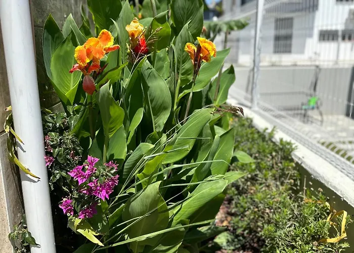 Willa Argun Private *